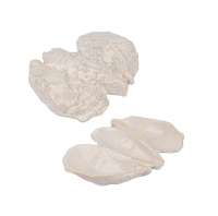 Блюдо ракушка 200х40мм см керамика Frutti di Mare P.L.